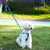 Conjunto de Guia e Peitoral para Cachorro em H - Bluegreen na internet