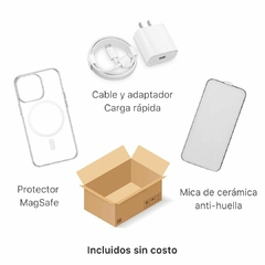 iPhone 12 en internet