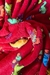 Soft Plush Estampa de Dinossauro Fundo Vermelho