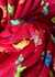 Soft Plush Estampa de Dinossauro Fundo Vermelho na internet