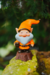 Gnomos na internet