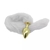 Plug Anal com Rabo - comprar online