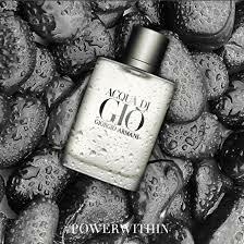 Acqua di Giò Pour Homme Giorgio Armani Eau de Toilette - Perfume Masculino 100ml - comprar online