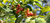Banner rotativo 2