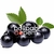 Polpa de Jabuticaba 100% Natural