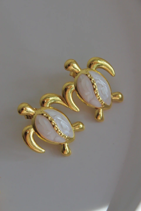 Aretes Coral