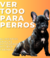Banner de BEETHOVEN PET CARE VILLAVICENCIO 
