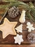Box TREE - tienda online