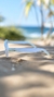 Óculos de sol Carolina - Tunica Shoes | Site Oficial