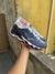 Mizuno prophecy 13