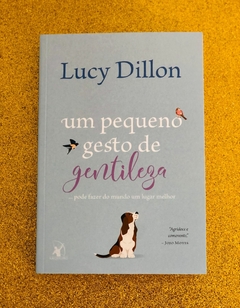 Um pequeno gesto de gentileza (Lucy Dillon) - FRETE GRÁTIS