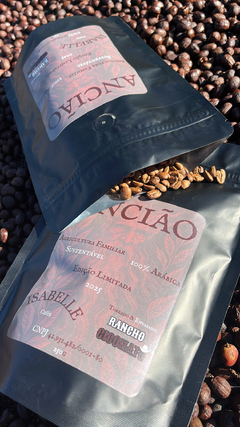 Ancião - comprar online