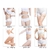 Fat Burner Weight Loss Cream Anti Cellulite Hot Cream Body Massager Gel Slimming Cream Hot Selling Massage Anti-Cellulite on internet