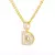 Wild Bling Initial Letters Stainless Steel Necklace and Pendant 26 A-Z.. on internet