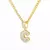 Wild Bling Initial Letters Stainless Steel Necklace and Pendant 26 A-Z.. on internet