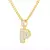 Wild Bling Initial Letters Stainless Steel Necklace and Pendant 26 A-Z..