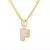 Wild Bling Initial Letters Stainless Steel Necklace and Pendant 26 A-Z..