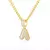 Image of Wild Bling Initial Letters Stainless Steel Necklace and Pendant 26 A-Z..