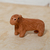 CAPIVARA BARRO LAVADO - comprar online