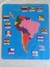 Mapa da América do Sul educativo - comprar online