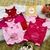 Jardineira gatinho linha baby