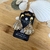 Conjunto de Concha de Resina Mesclada - comprar online