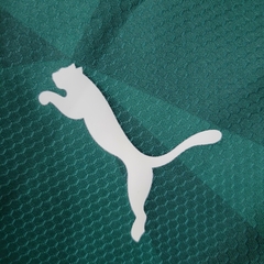 I Camisa do Palmeiras 23/24 na internet