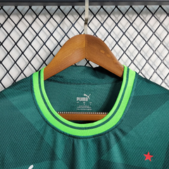 I Camisa do Palmeiras 23/24 - comprar online