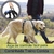 Imagem do PetComfort - Colete para Pet
