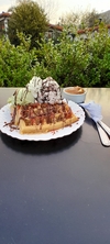 WAFFLES