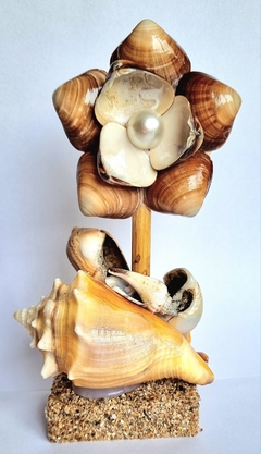 Decoração artesanal produzida com conchas do mar - loja online