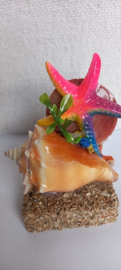 Imagem do Decoração artesanal produzida com conchas do mar