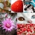 Lente macro 75mm aumento 10x universal para celular - comprar online