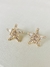Brinco Estrela Diamantada Premium