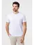 Camiseta Masculina Regular Manga Curta - DLZ - comprar online