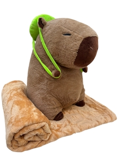 Imagen de Capibara con mantita