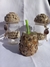 Set Azucar - Yerba CON CORTANTES - comprar online