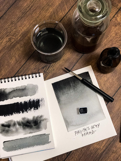 Payne`s Grey - halfpan na internet