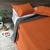 CUBRECAMA QUILTS DOBLE FAZ CON FUNDA DE ALMOHADA - comprar online