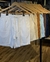 COMBO SHORT