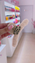 PRESILHA CHANEL PELUCIA - comprar online