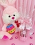 COPO CHOCODIVA