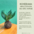 Kokedama Mini Espada de São Jorge
