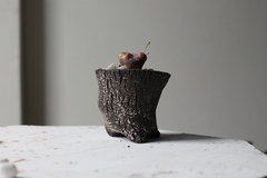 POT: CAT233 - online store