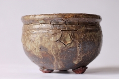 POT: CAT137 - buy online