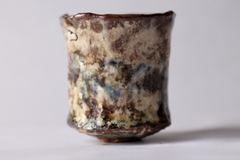 CUP: CAT121 on internet