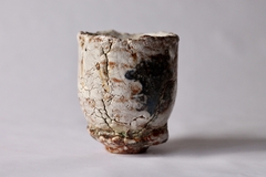 CUP: CAT122 - online store