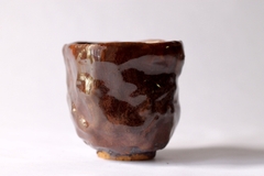 CUP: CAT127 on internet