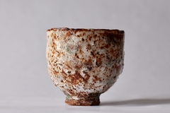 CUP: CAT132
