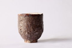 CUP: CAT133